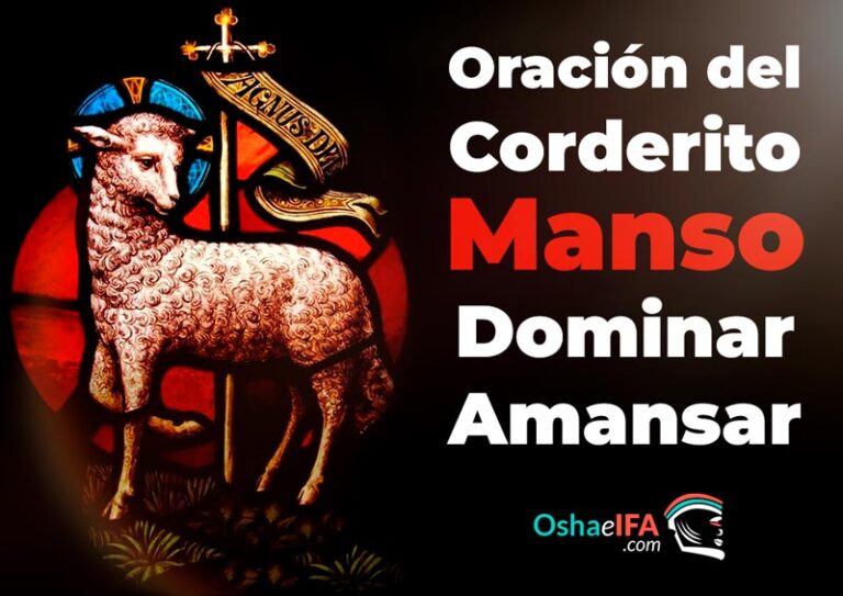 Oración del Corderito Manso: Amansar, Dominar, Esencia. Oshaeifa.com