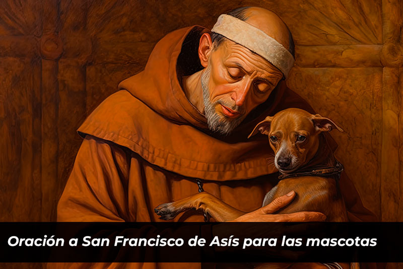Oración a San Francisco de Asís para las mascotas