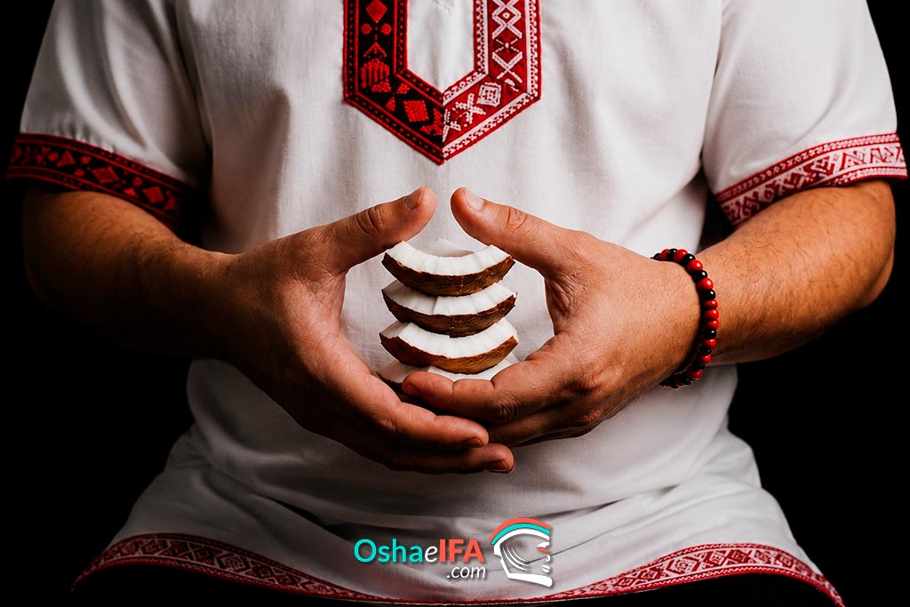 Obí (Coco) Santería